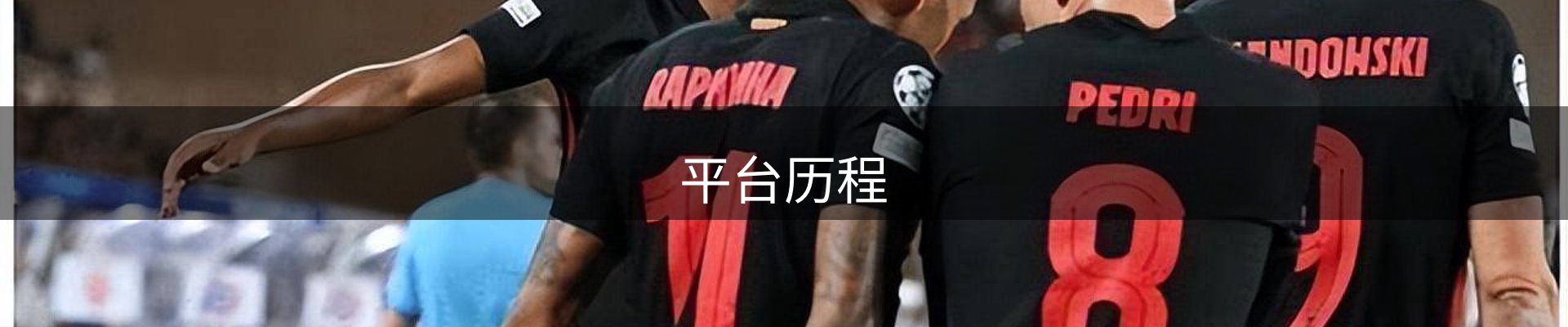 平台历程
